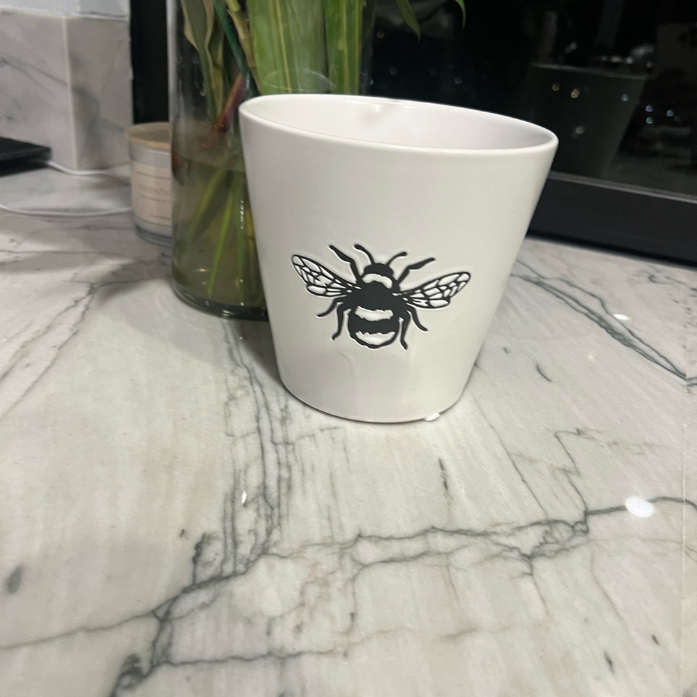 Bee decor pot planter 6”